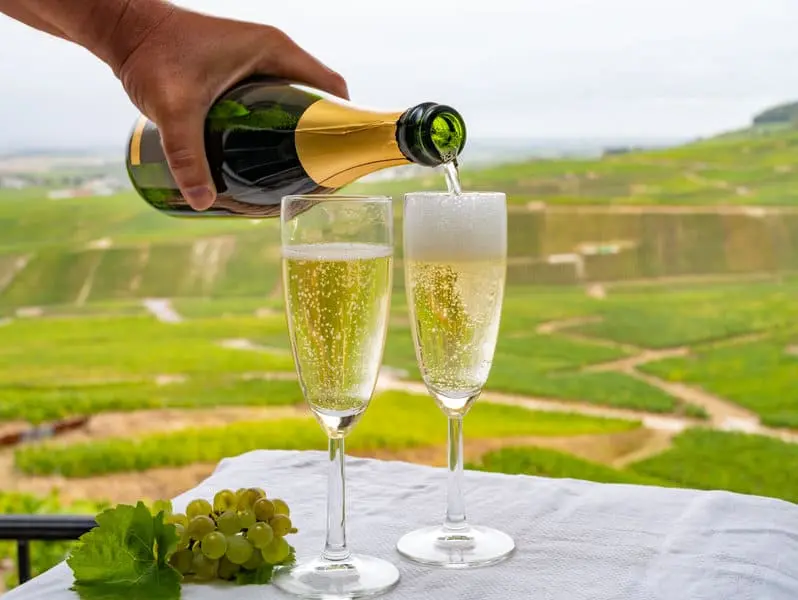 Terroirs de champagne