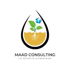 Maad Consulting