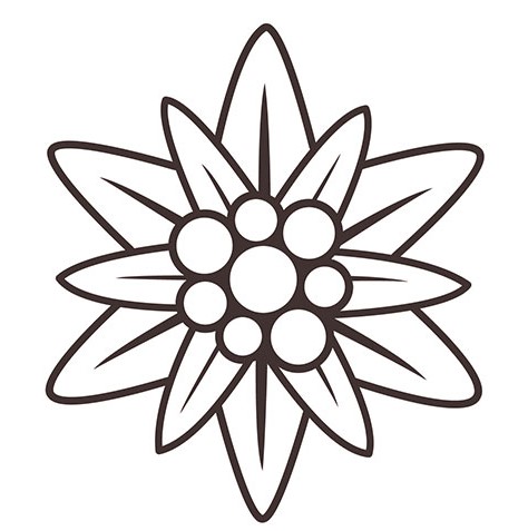 Les Spiritueux Des Alpes